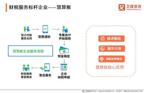 2021上半年中國財稅類企業服務專題研究報告 聚焦成都信息技術咨詢服務發展