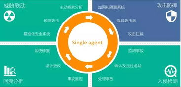 青藤獲2億元B輪融資，研發(fā)大腦扎根光谷加速網(wǎng)絡(luò)安全技術(shù)創(chuàng)新